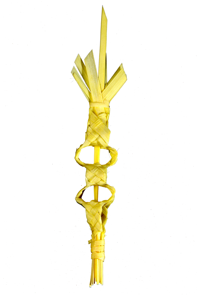 Palmas Blancas Online