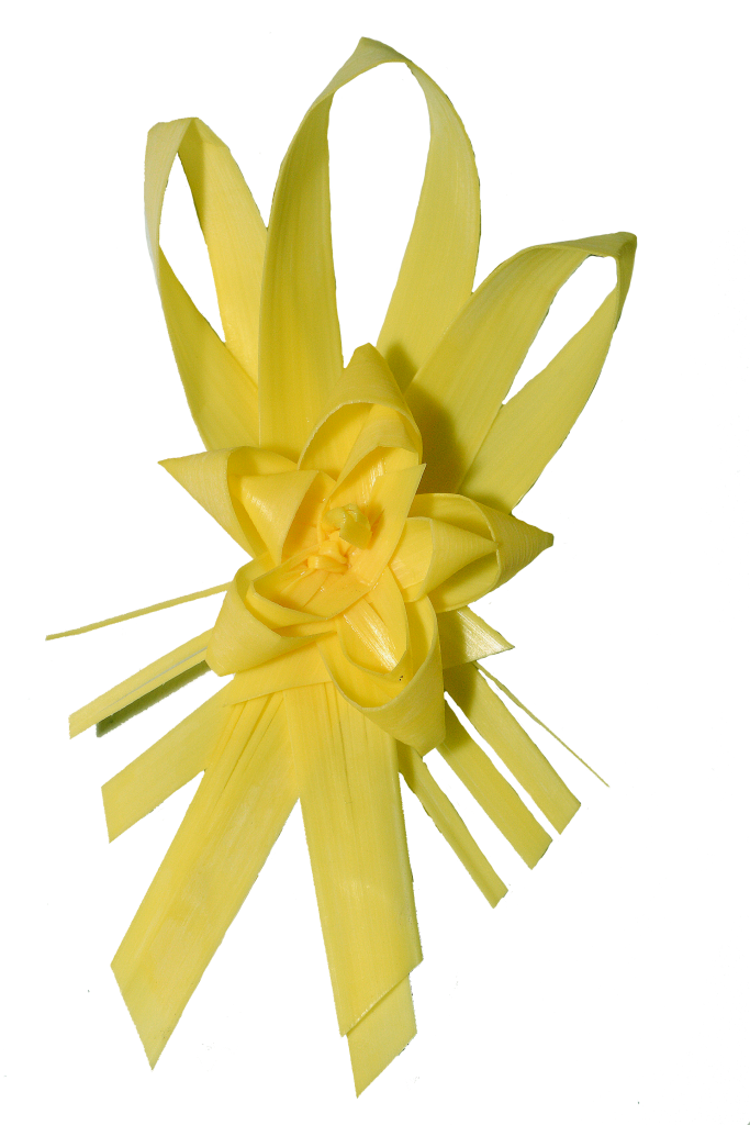 Palmas Blancas Online