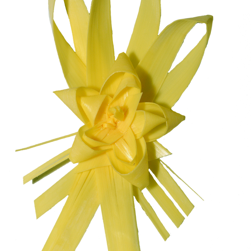 Alternative view of PACK 5 Solapas