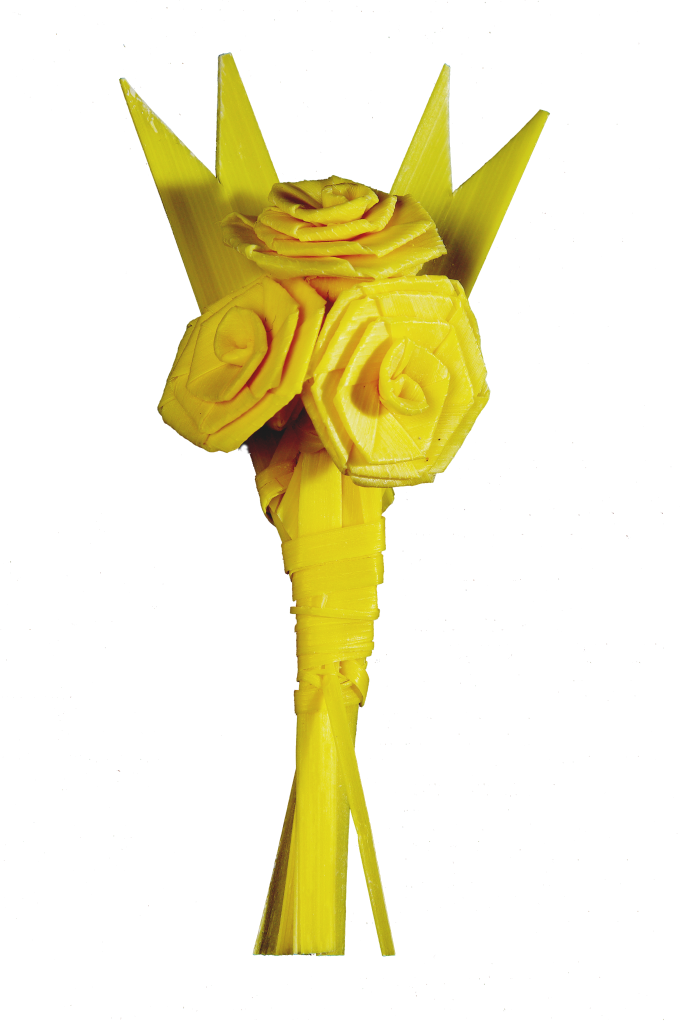 Palmas Blancas Online