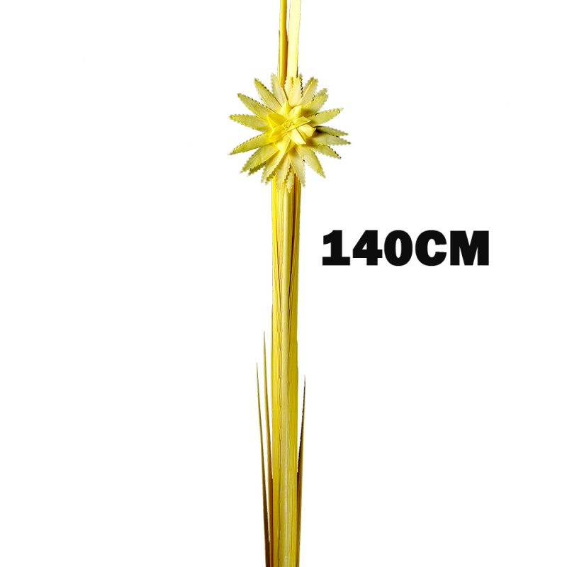 Palma adorno Mediano