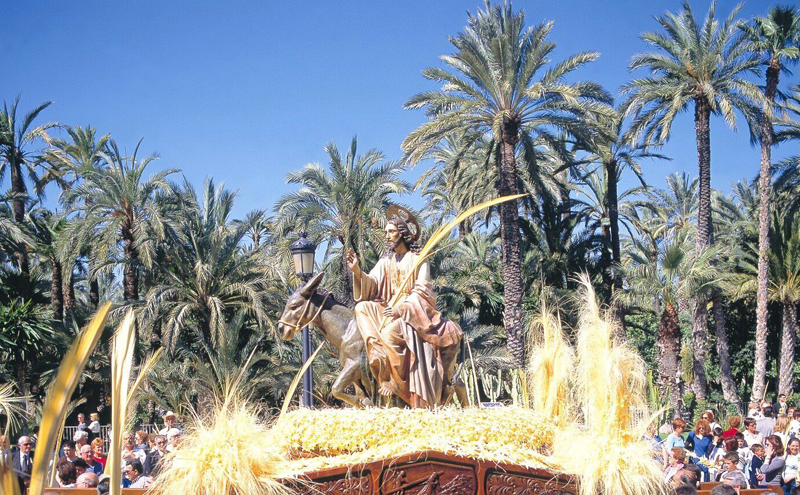 Palmas Blancas Online