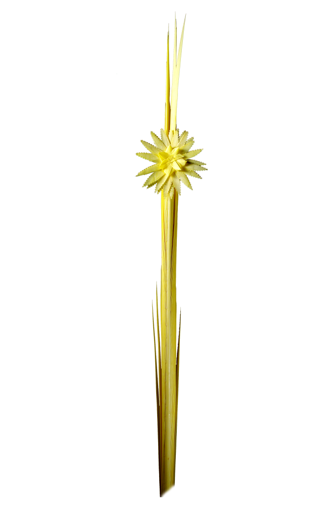 Palmas Blancas Online