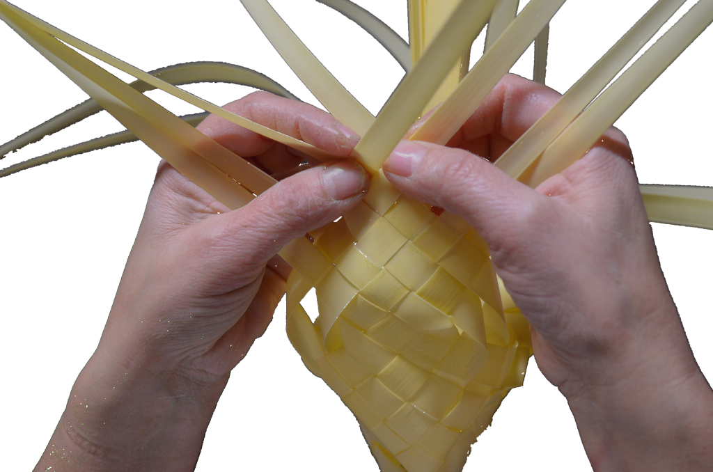 Palmas Blancas Online