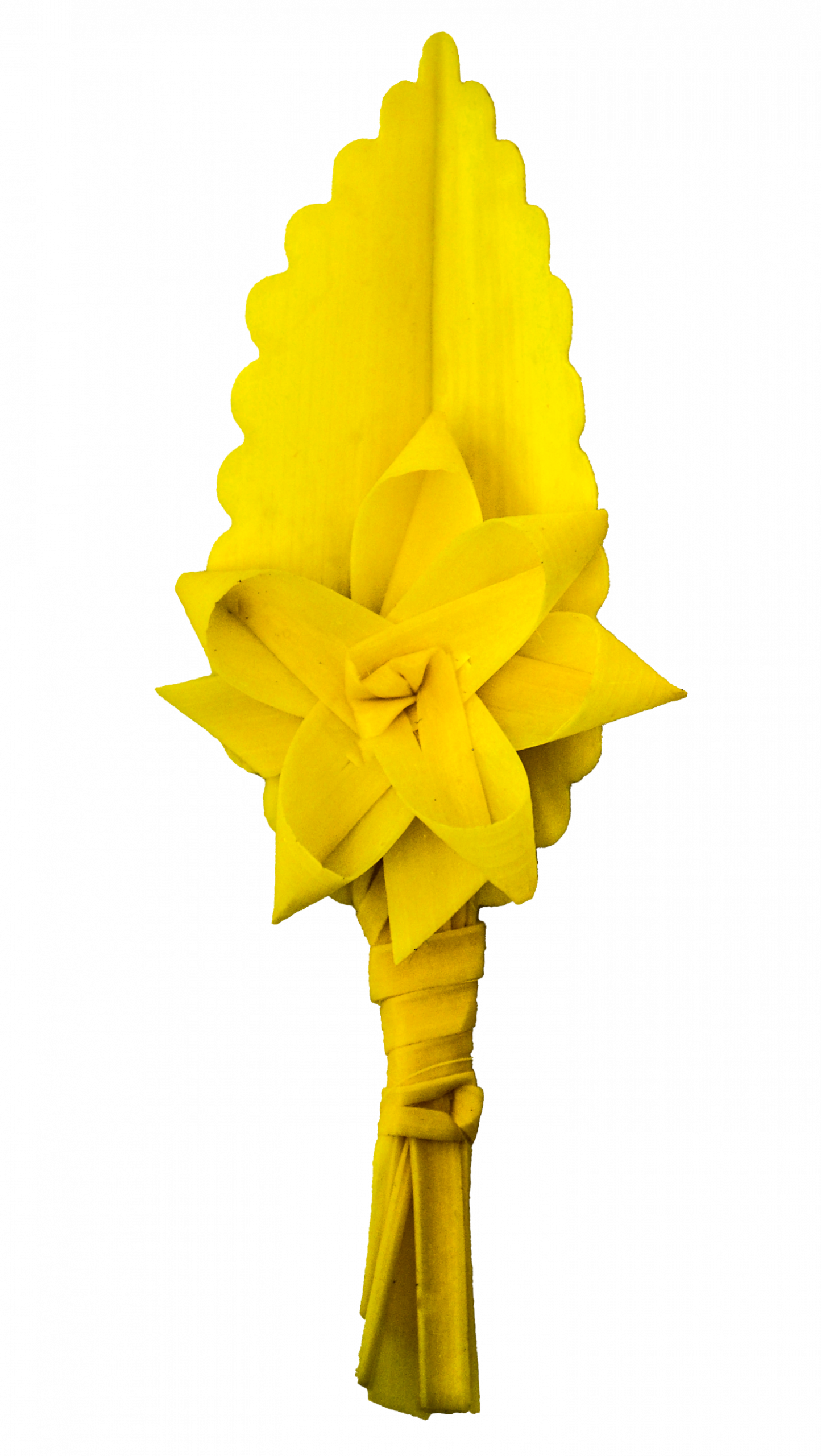 PACK 5 Solapas - Imagen 6