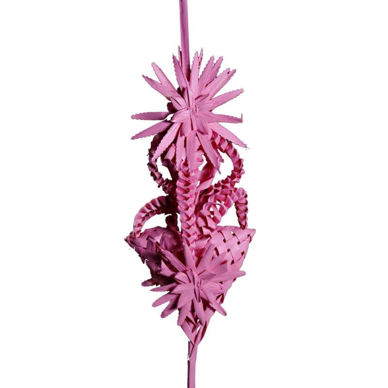 Alternative view of Palma color nº2