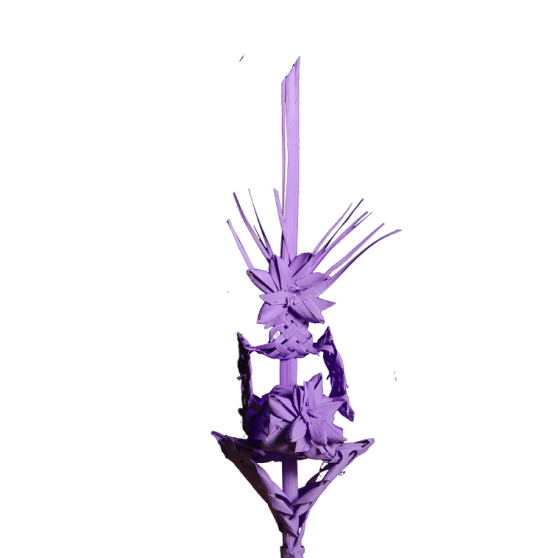 Alternative view of Palma color nº1