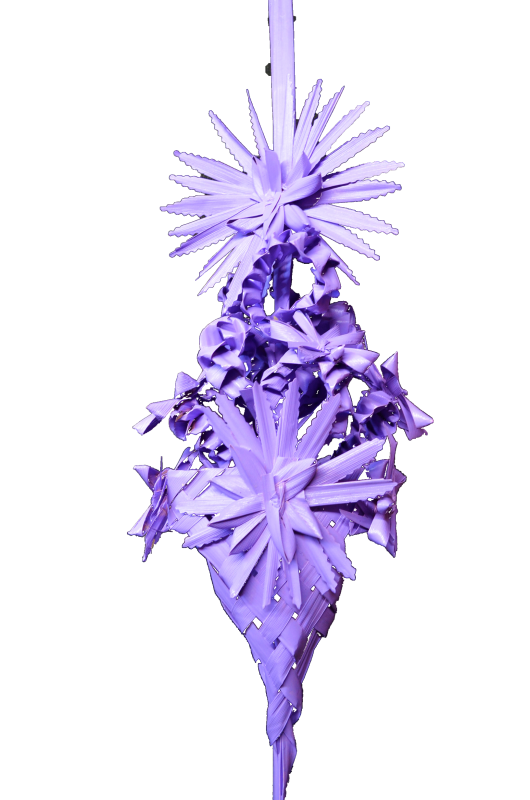 Palmas Blancas Online