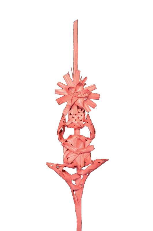 Palmas Blancas Online