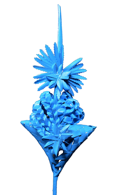 Palmas Blancas Online