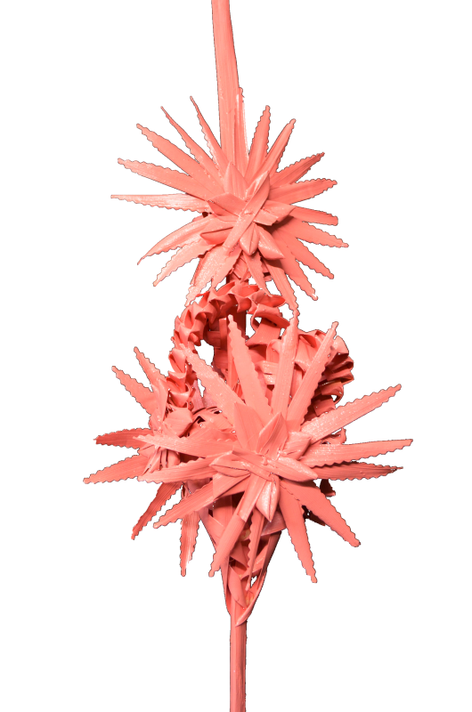 Palmas Blancas Online