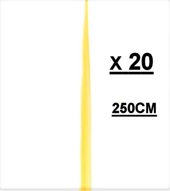 Palmas Blancas Online