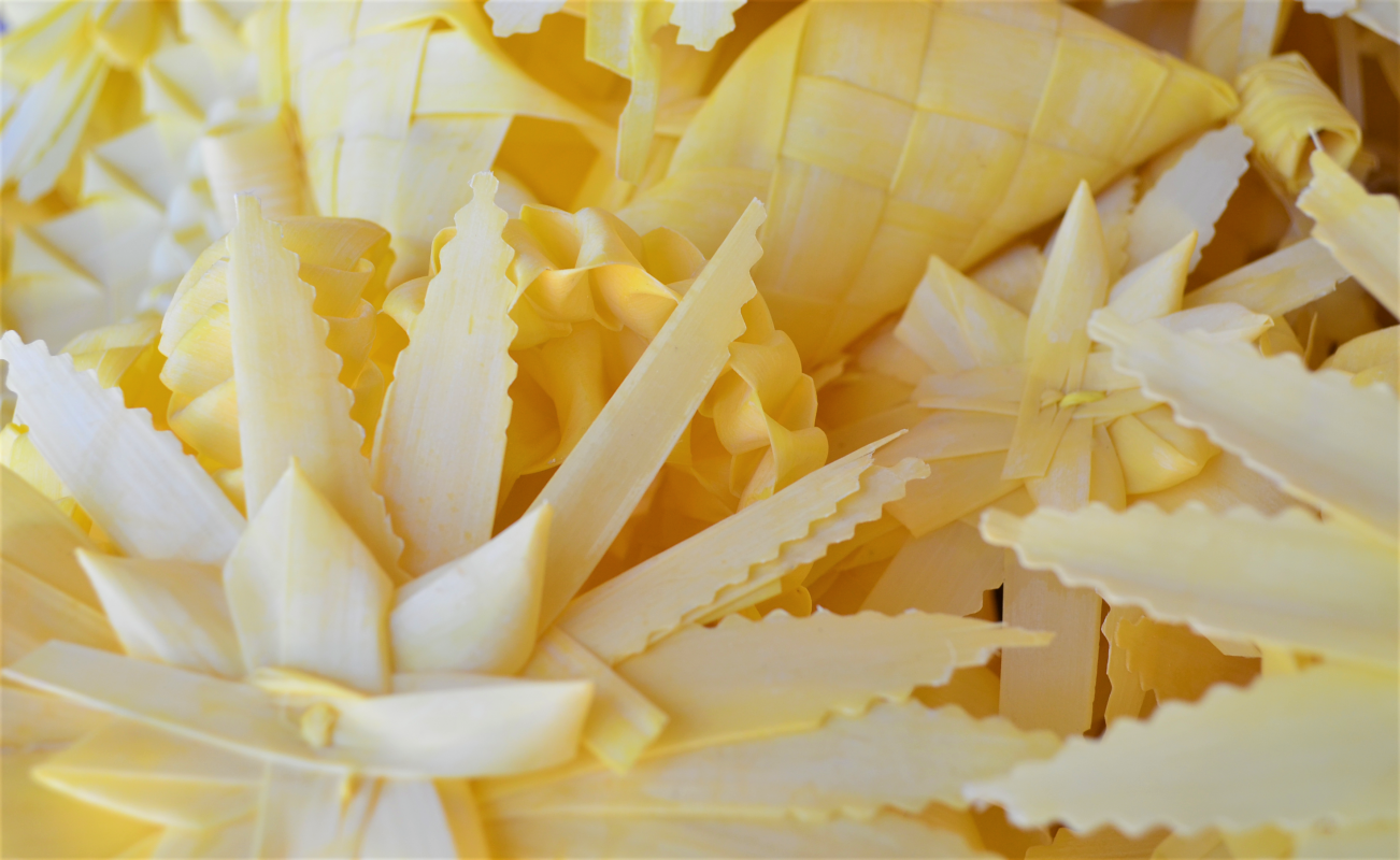 Palmas Blancas Online