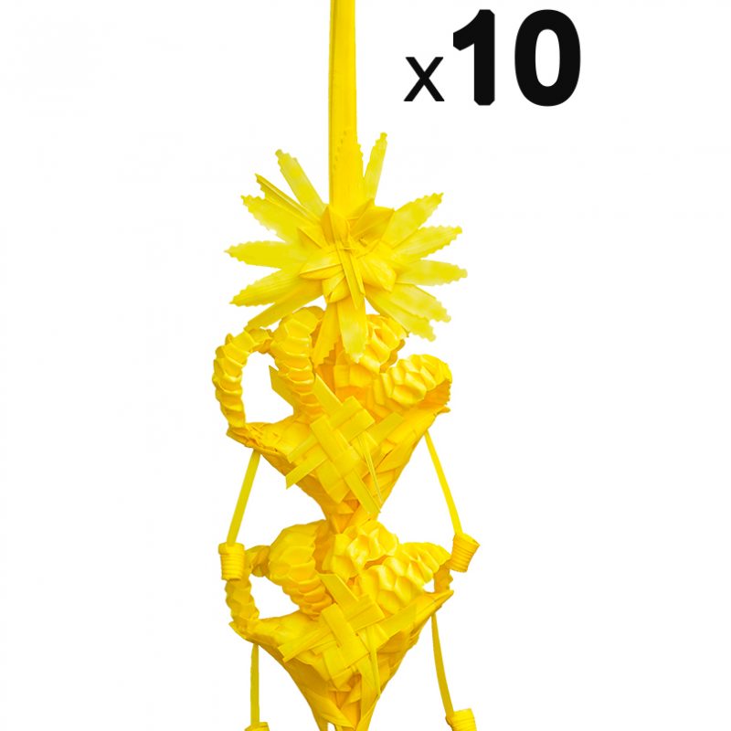 PACK 10 palma dos pisos Rulo