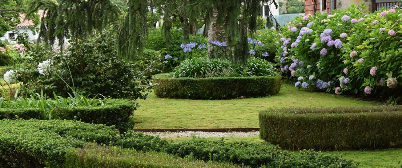 Palmas Blancas Online