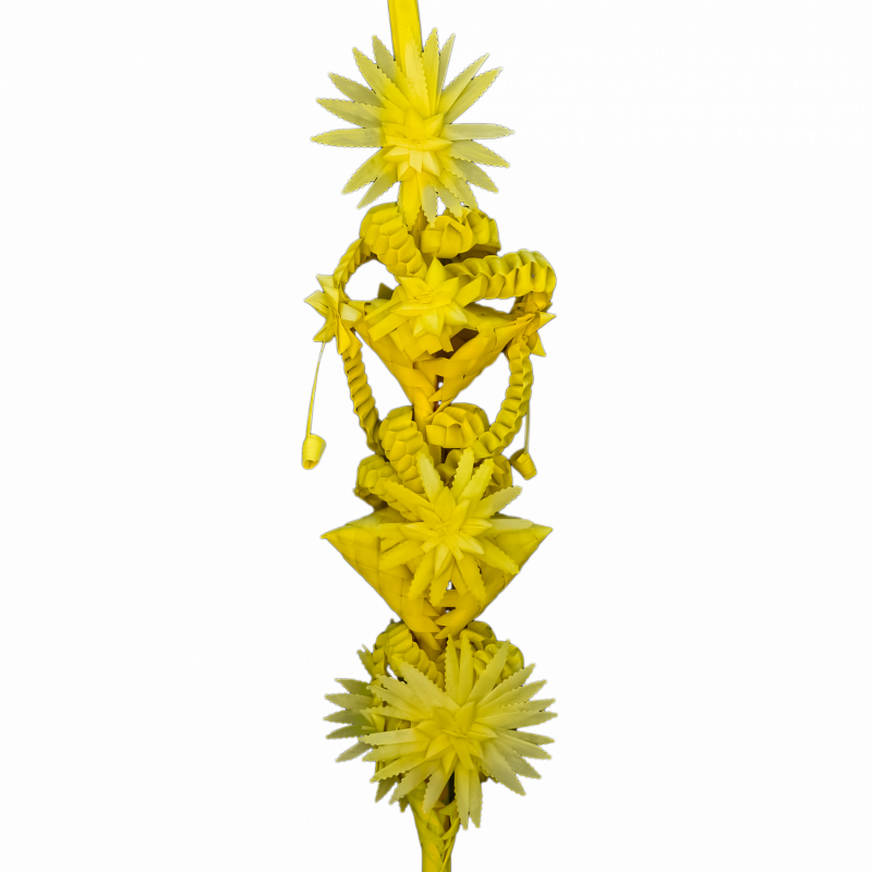 Palma tres Pisos Reina