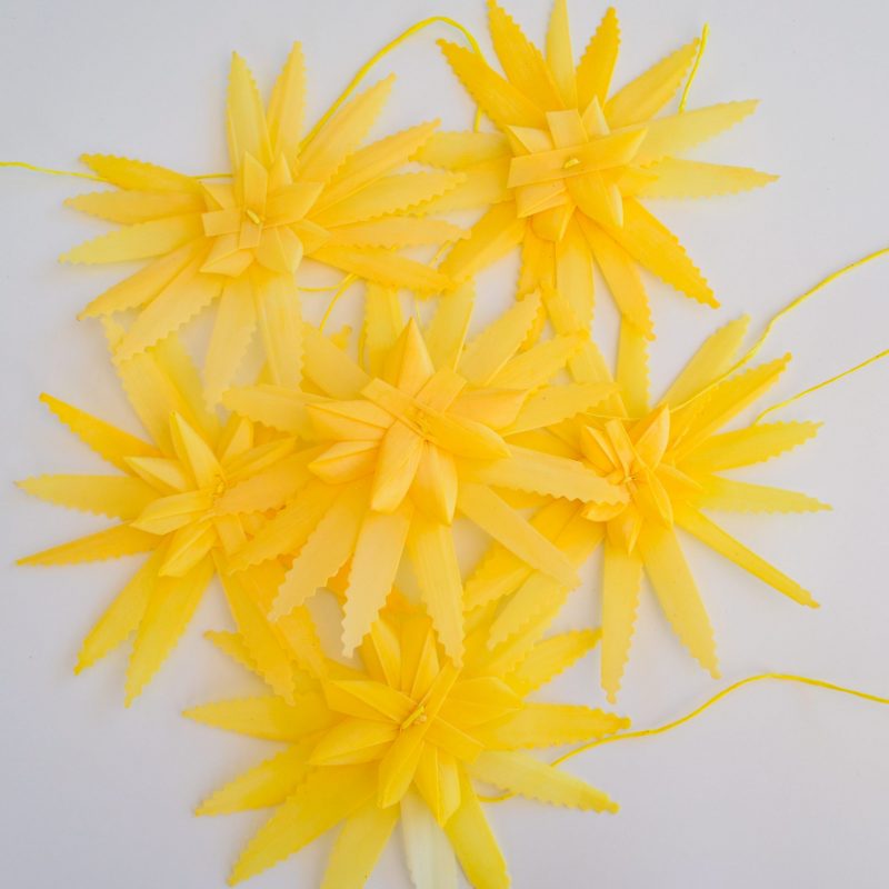 PACK 25 de Estrella y Rosa