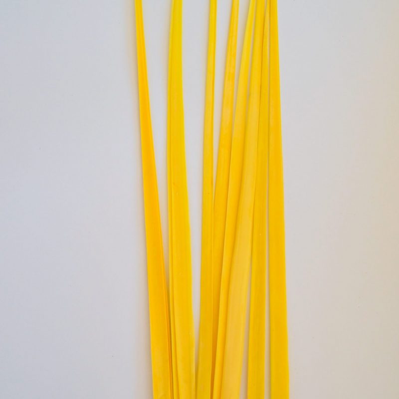 Manojo de palmas blancas (2kg)