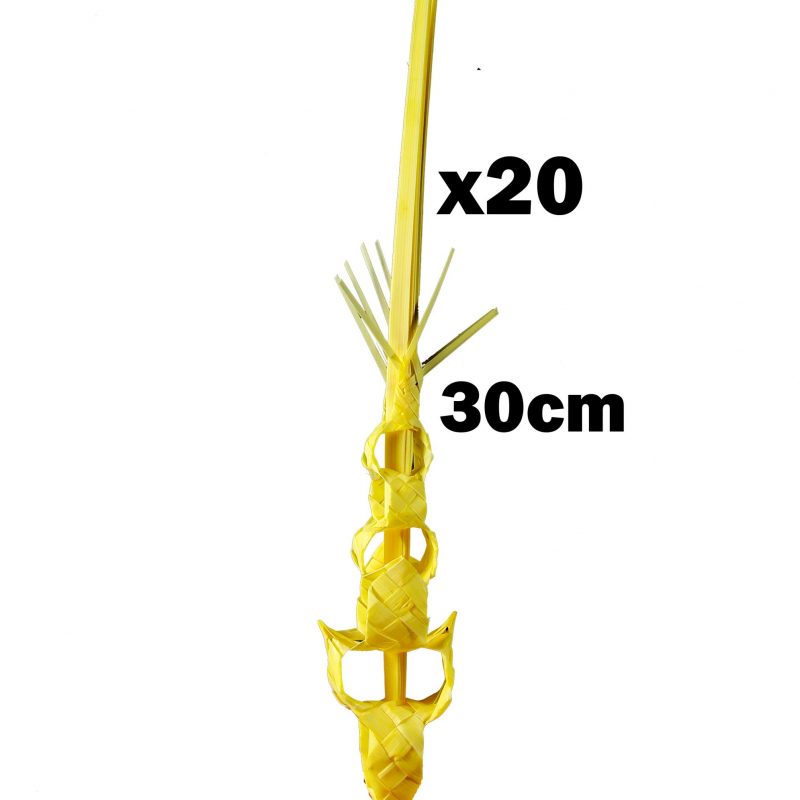 PACK 20 Palma Laurea bebé nº1