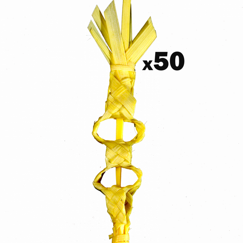 PACK de 50 uds de Solapa