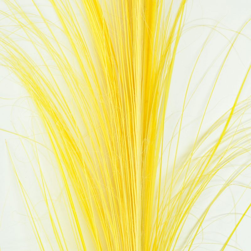 Alternative view of Palma Rastrillada