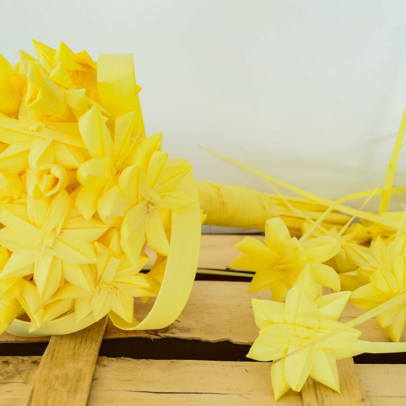 Alternative view of Ramo de Novia