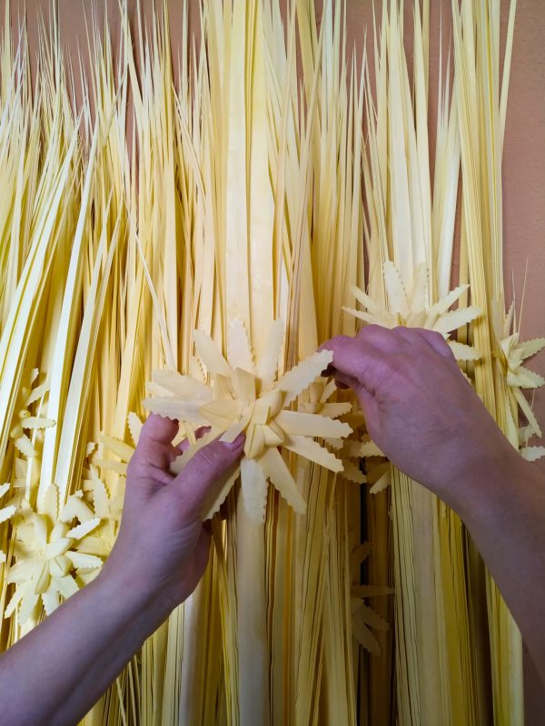 Palmas Blancas Online