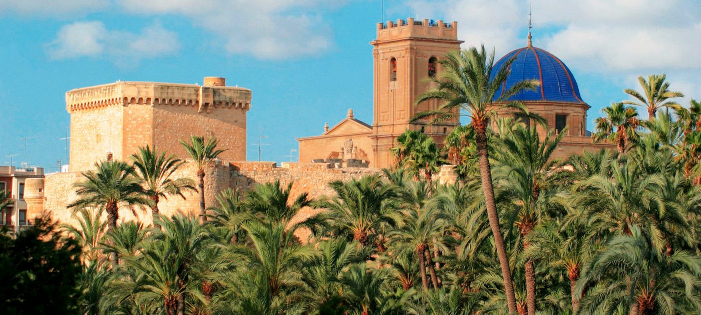 Palmas Blancas Online