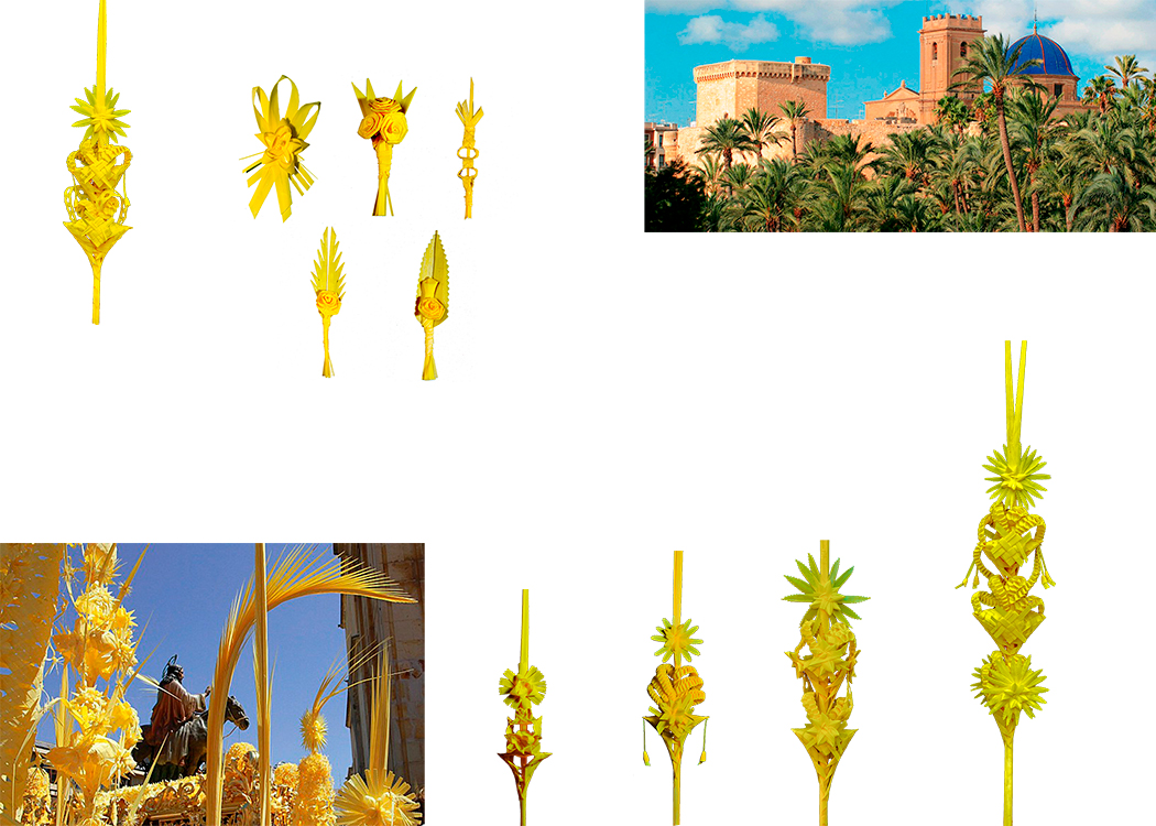 Palmas Blancas Online