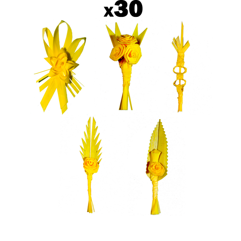 PACK 30 Solapas variadas